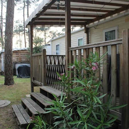 Mobil-Home Spatieux 8Pers - Brume แซ็งต์-จูเลียง-อ็อง-บอร์ง ภายนอก รูปภาพ